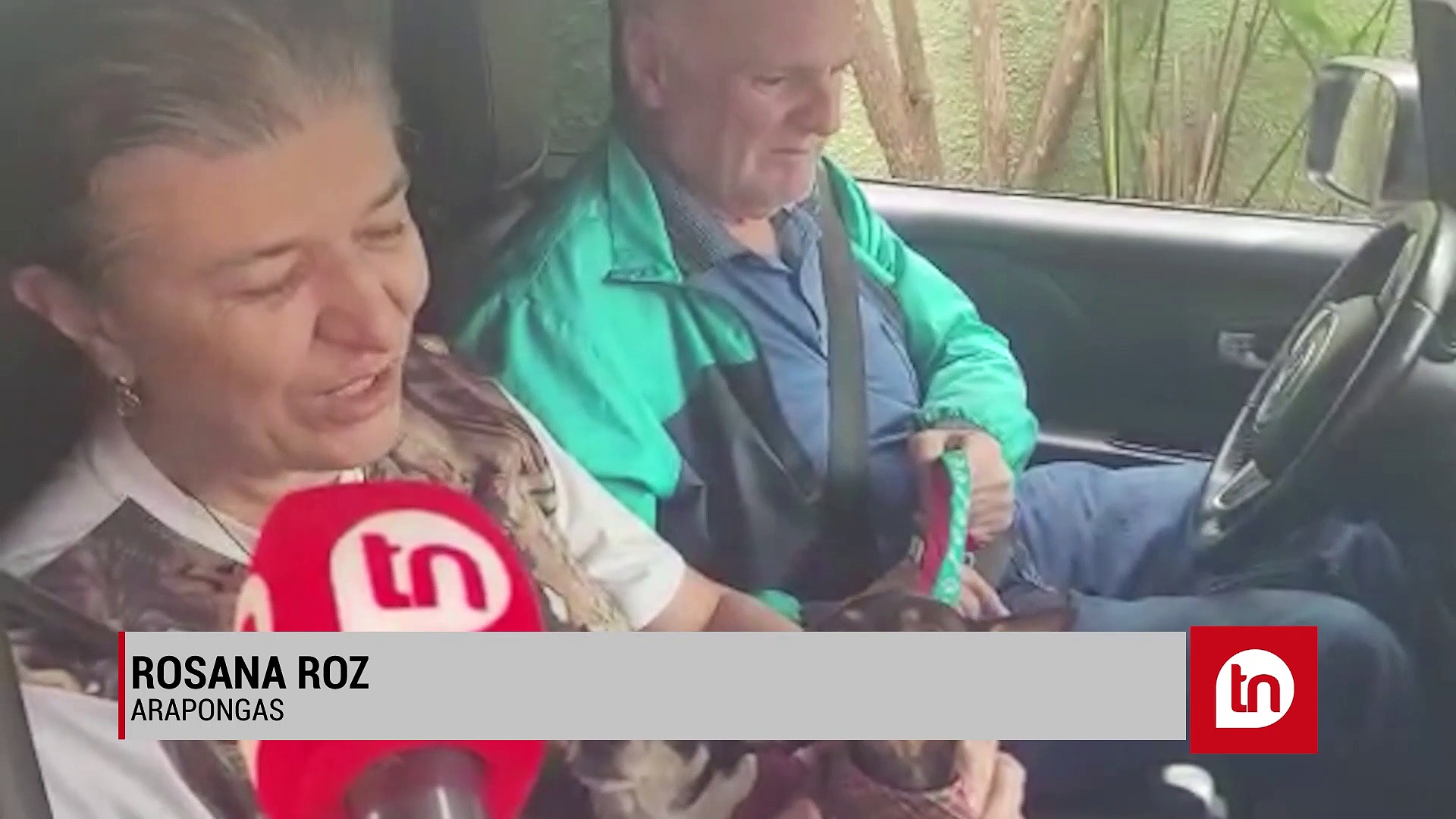 Animais são abençoados em Arapongas; assista