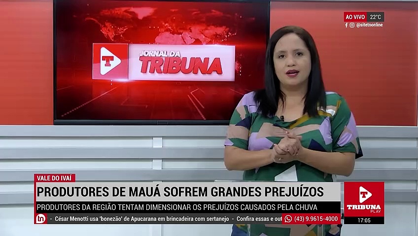Produtores de Mauá da Serra esperam prejuízos "dramáticos" com granizo