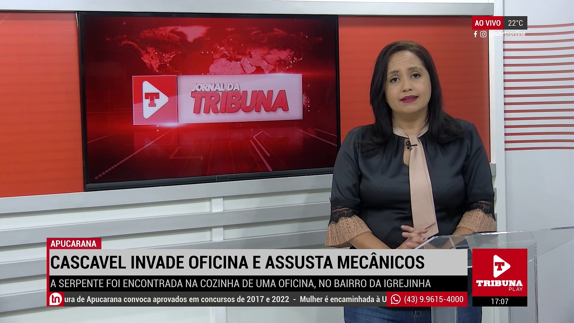 Cascavel assusta mecânicos de Apucarana