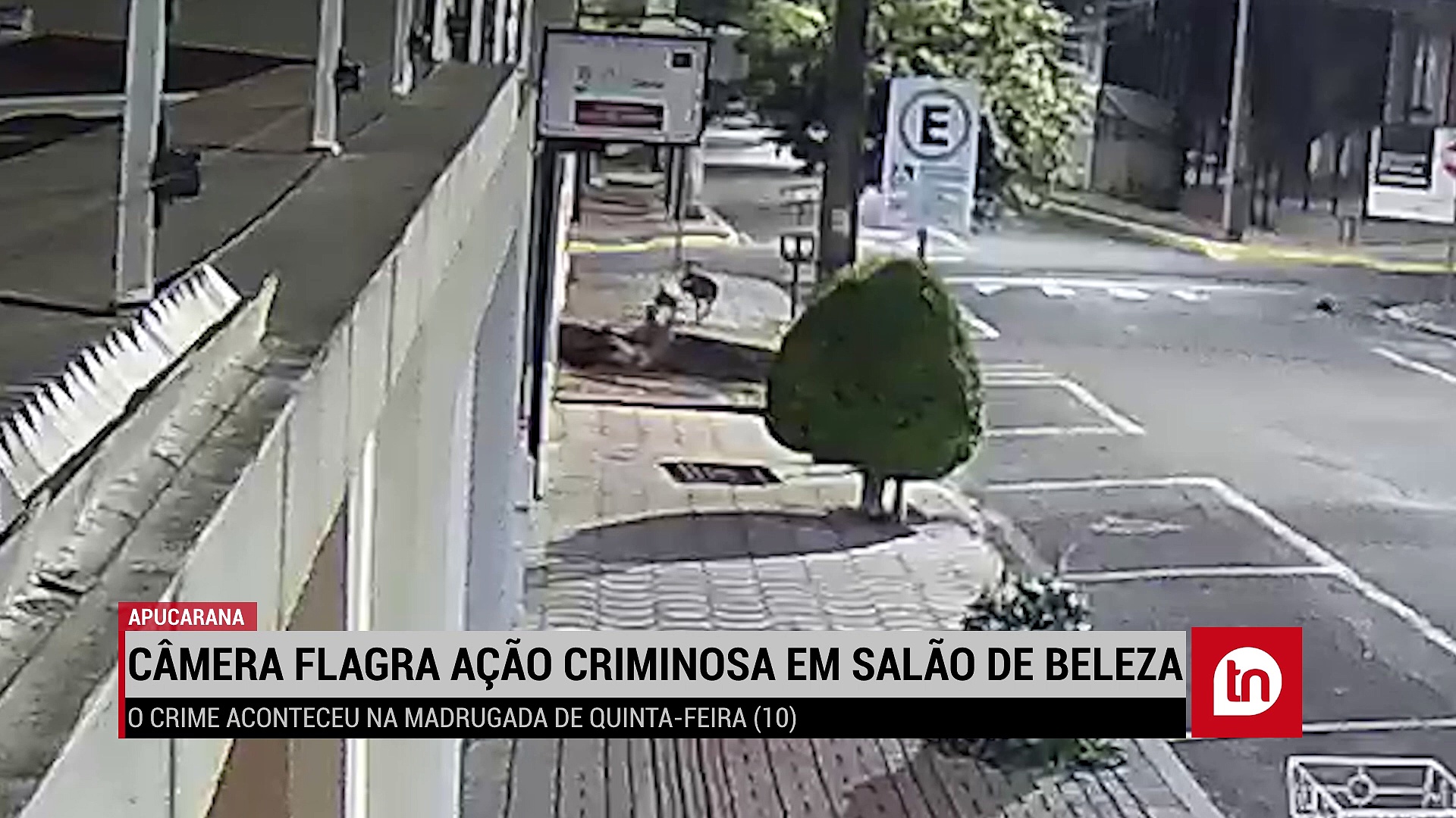 Câmeras de segurança flagram ação criminosa em salão de beleza