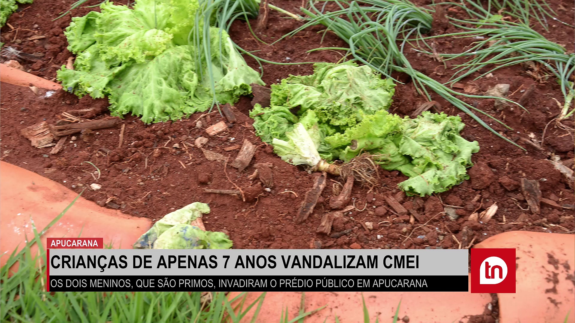Crianças de apenas 7 anos promovem vandalismo em escola