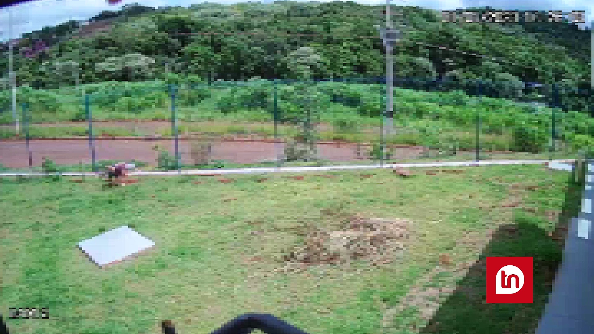 Câmeras de segurança flagram crianças vandalizando CMEI, em Apucarana