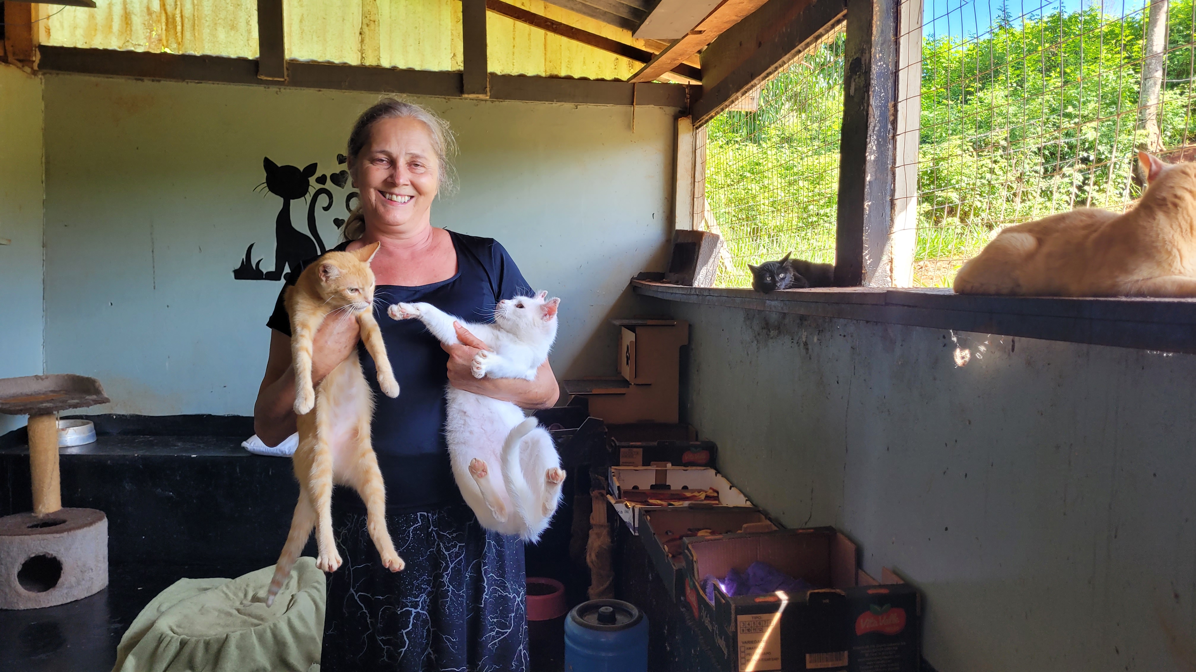 Protetores independentes cuidam de mil animais em Apucarana