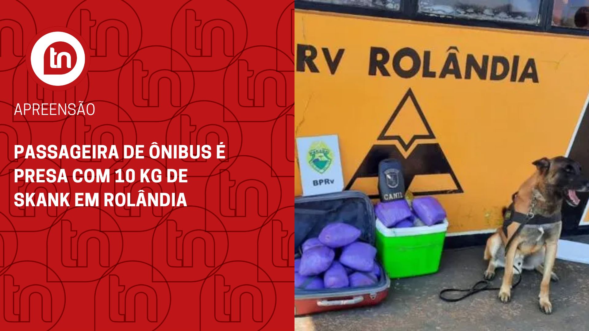 Passageira de ônibus é presa com 10 kg de skank em Rolândia