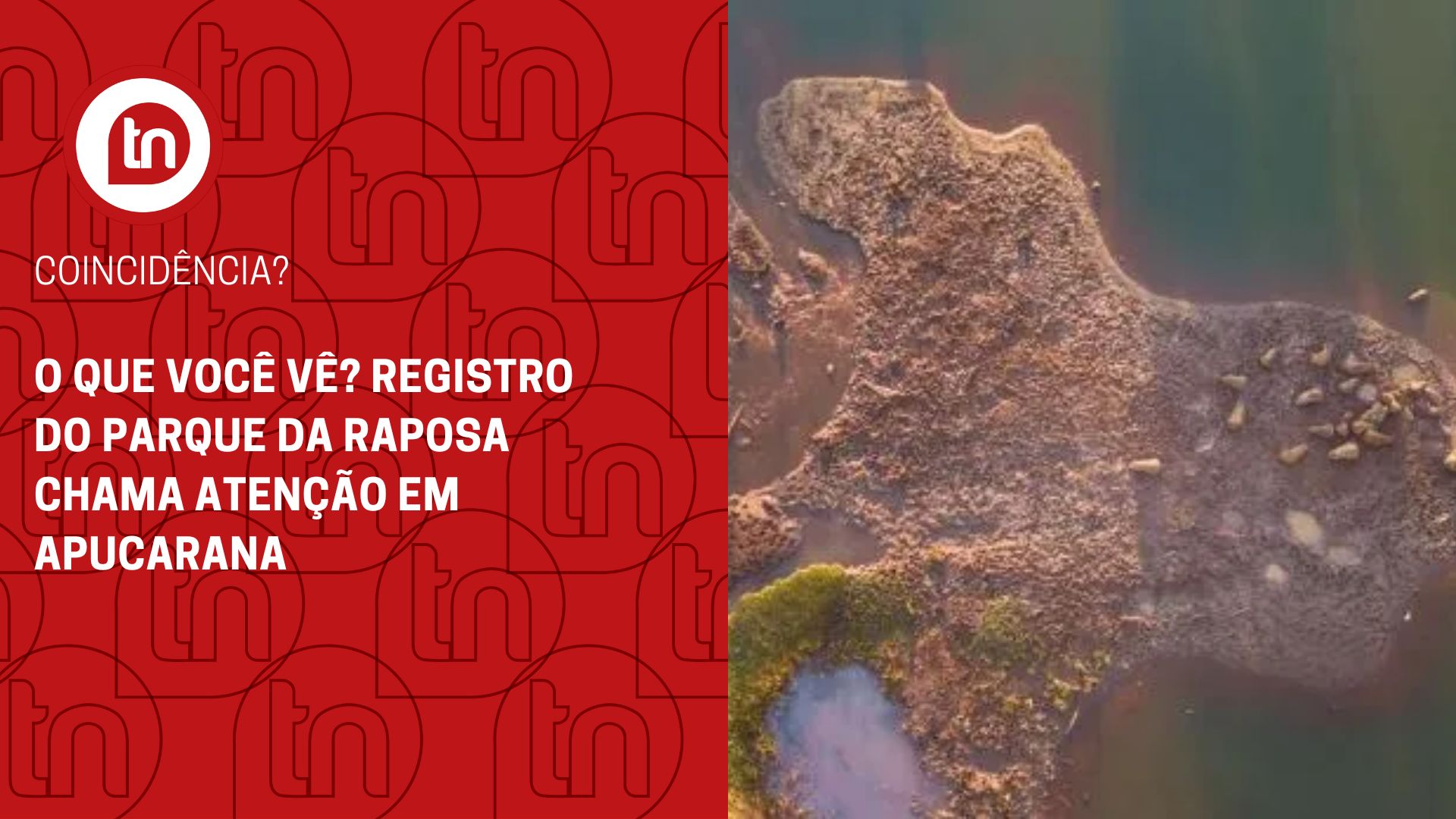 O que você vê? Registro do Parque da Raposa chama atenção em Apucarana