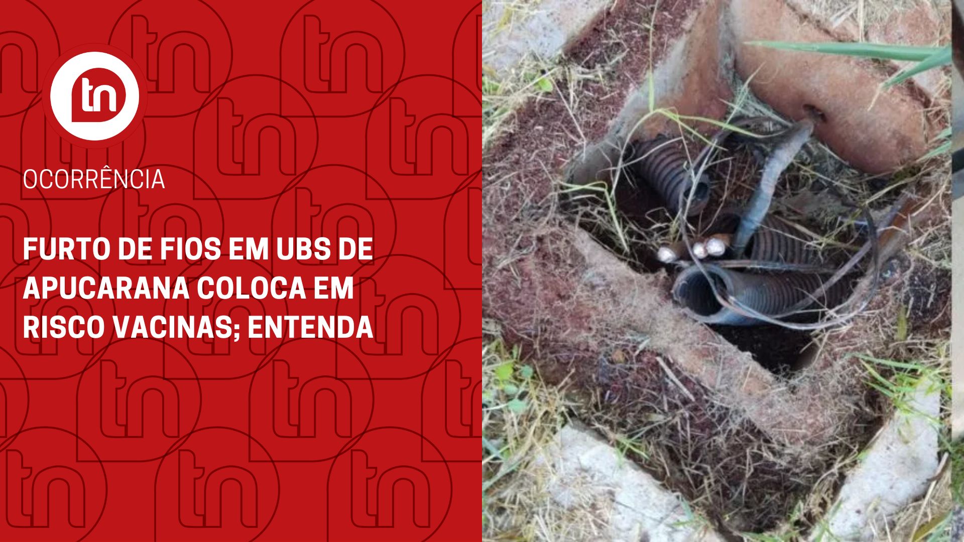 Furto de fios em UBS de Apucarana coloca em risco vacinas; entenda