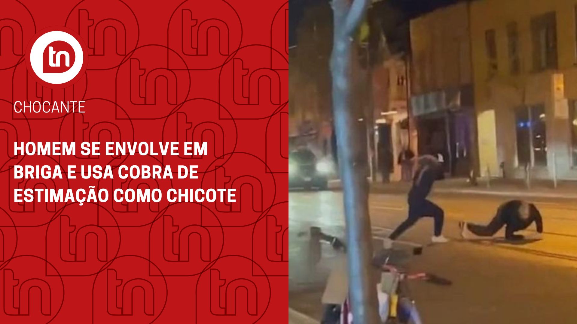 Homem se envolve em briga e usa cobra de estimação como chicote