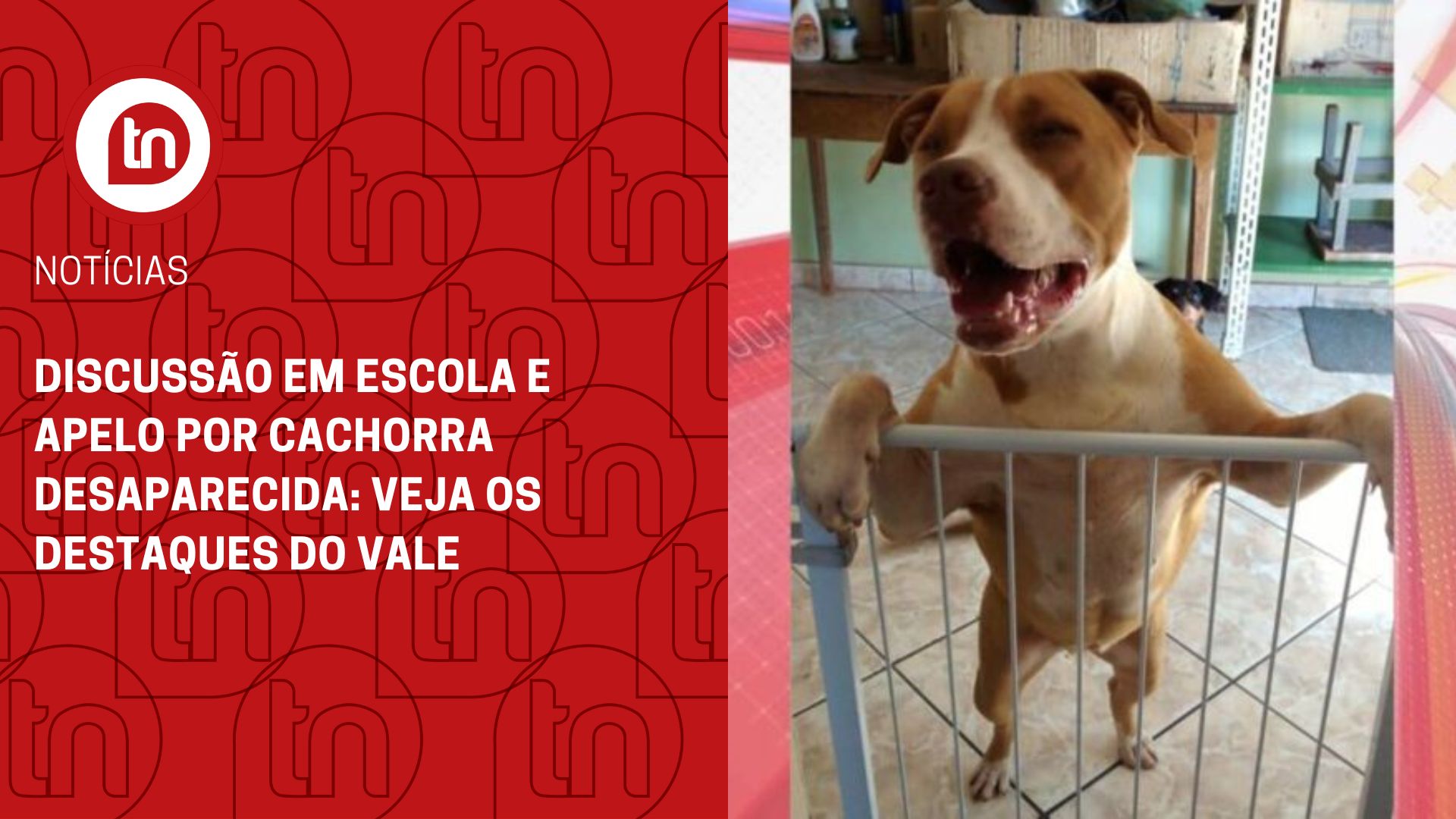 Confira os destaques desta quinta-feira (1º) do Vale do Ivaí
