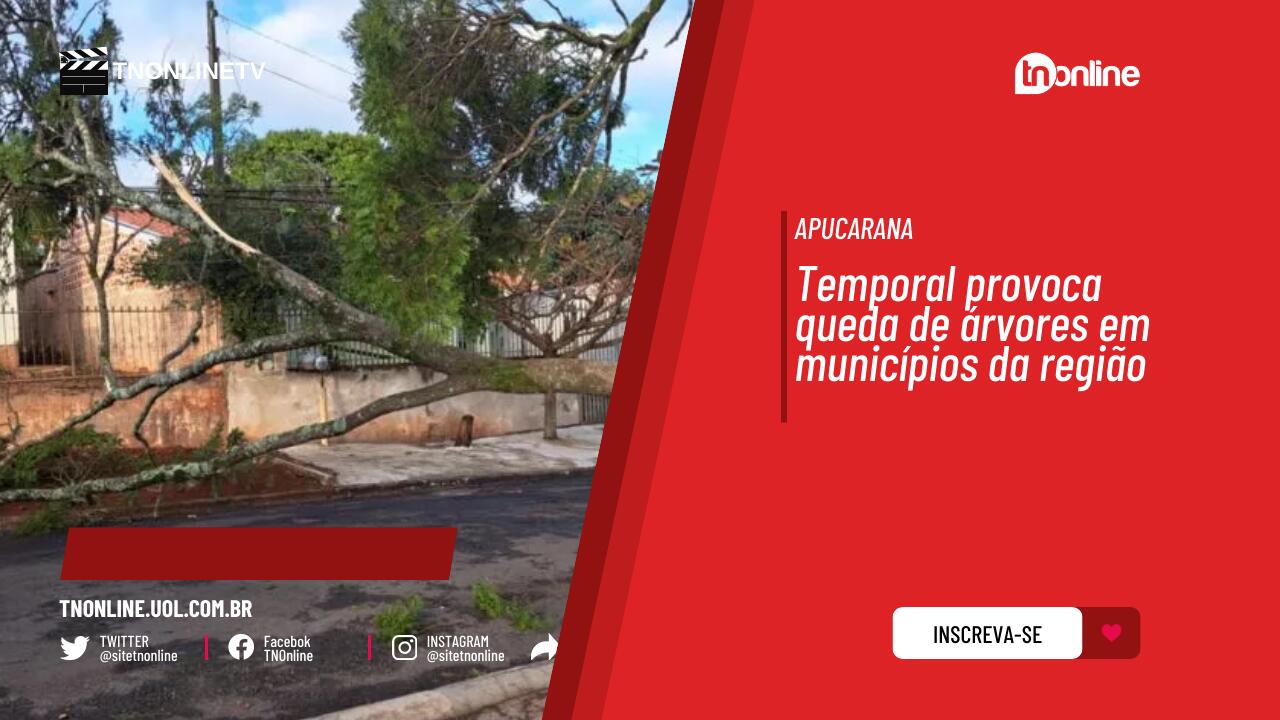 Temporal provoca queda de árvores em municípios da região