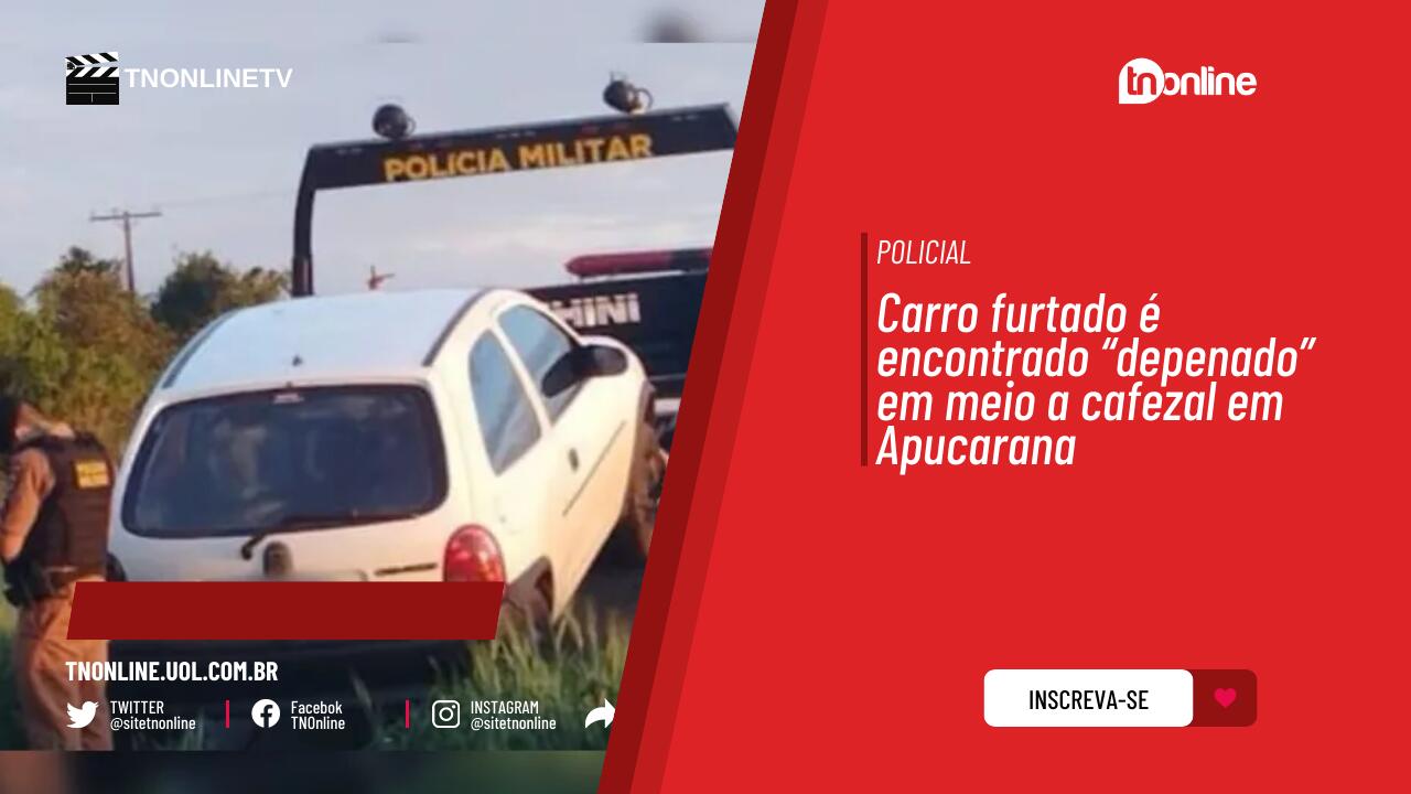 Carro furtado é encontrado “depenado” em meio a cafezal em Apucarana