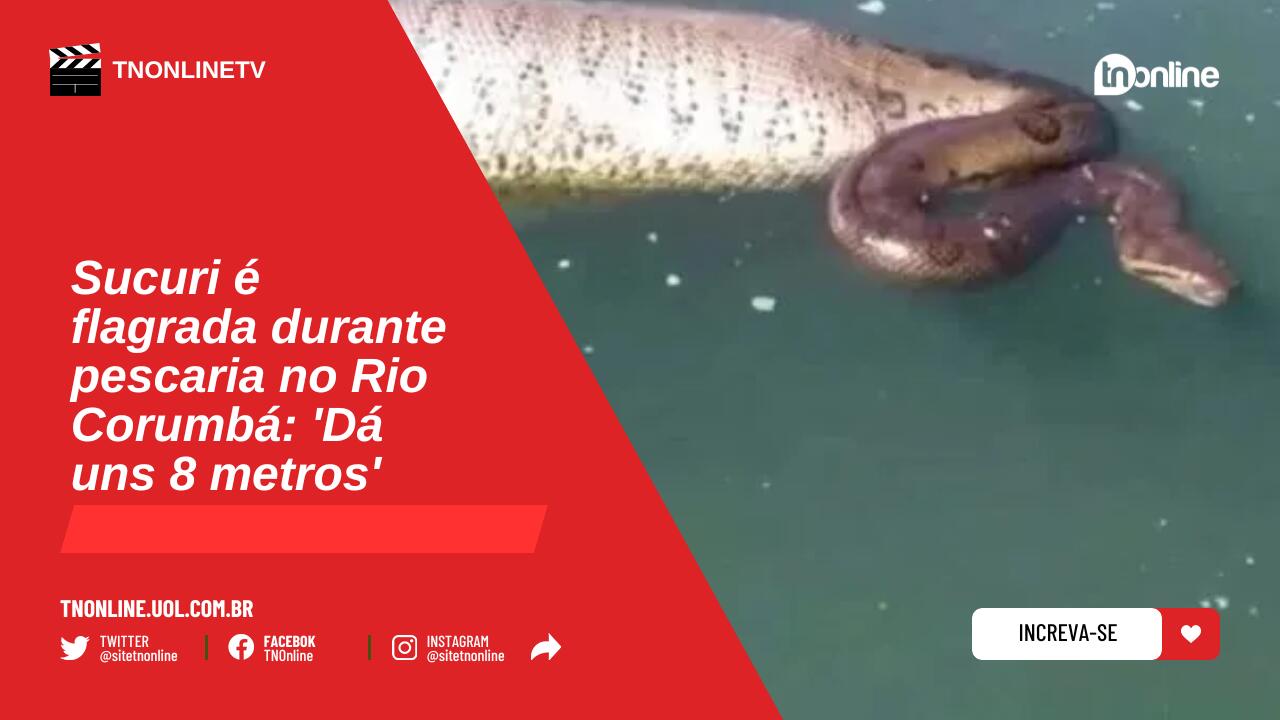 Sucuri é flagrada durante pescaria no Rio Corumbá: 'Dá uns 8 metros'