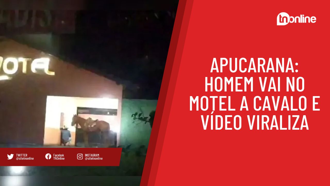 Apucarana: homem vai ao motel a cavalo e vídeo viraliza