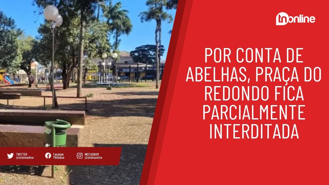 Por conta de abelhas, Praça do Redondo fica parcialmente interditada