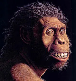 Homo sapiens que, segundo os estudos, abandonaram a vida nas árvores há cerca de 2 milhões de anos para se tornarem bípedes.