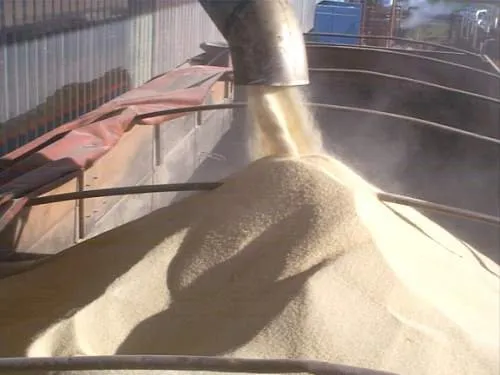 As exportações brasileiras de açúcar atingiram, em julho, o volume recorde de 2,9 milhões de toneladas embarcadas