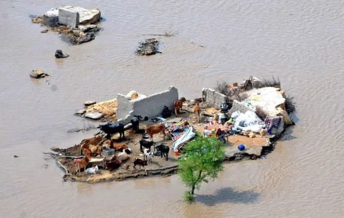  Vítimas de enchentes no Paquistão superam as de tsunami e terremotos