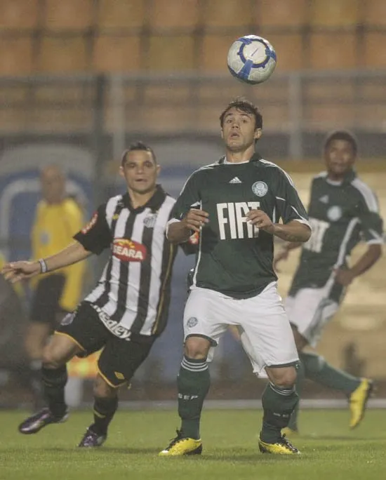  O Palmeiras, de Kleber, vem crescendo no Campeonato Brasileiro