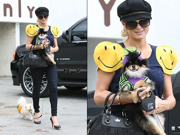  Paris Hilton mostra seus pets