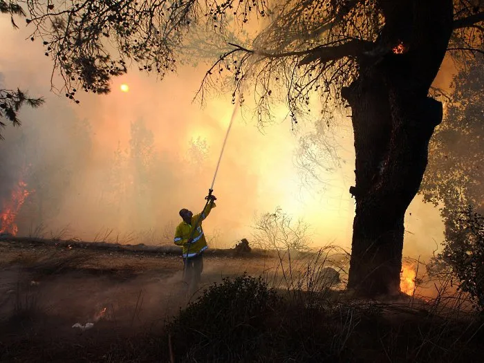  Bombeiro luta contra incêndio florestal em Carmel, que fica ao norte da cidade de Haifa