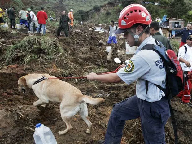  Cão farejador ajuda na procura de vítimas desaparecidas após deslizamento de terra soterrar bairro no noroeste da Colômbia