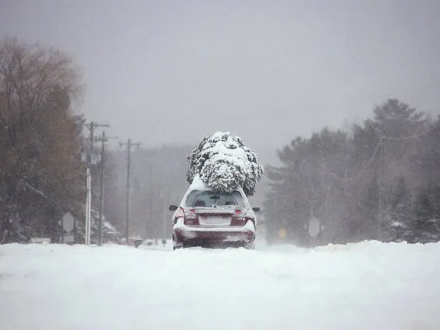  Carro transporta árvore de Natal em meio à neve em estrada de Traverse City, no estado americano de Michigan, nesta segunda-feira (13)