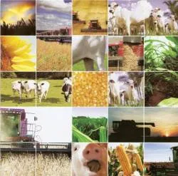 Créditos do BRDE para investimentos no agronegócio somam R$ 958 milhões  - Imagem de arquivo
