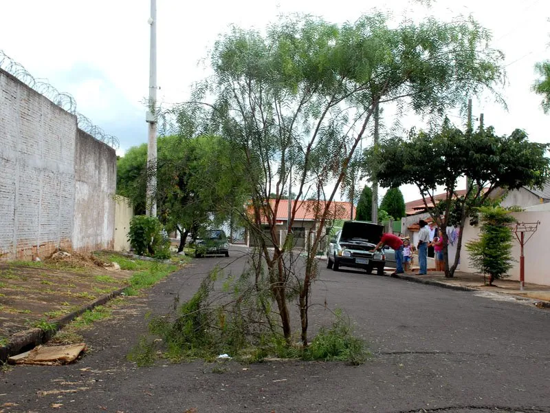 Galho de árvore em bueiro sem tampa: descaso em Apucarana