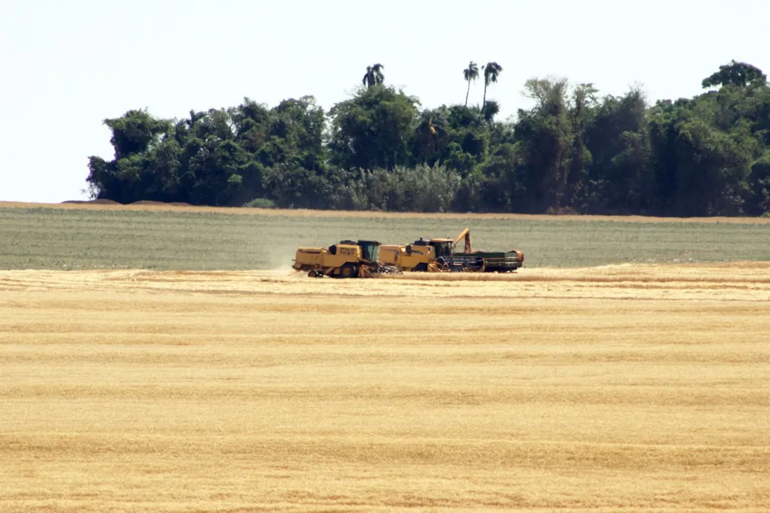  Colheita da safra de grãos de verão 2010/11 está começando no Paraná