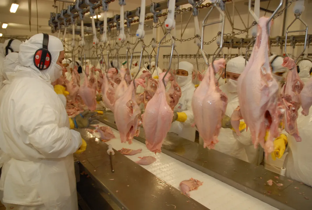 Paraná ficou em segundo lugar em exportações de carne de frango