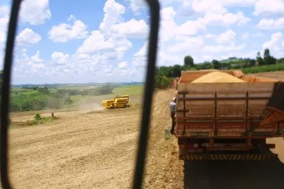  IBGE prevê safra recorde de grãos e Paraná mantém a liderança nacional