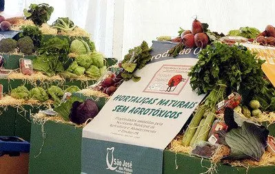 Governo estuda lançar programa de agroecologia