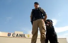  Cães auxiliam polícia em Arapongas