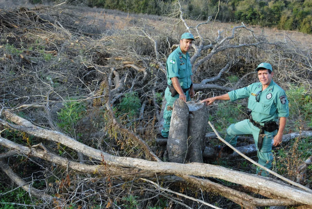 Força Verde encontrou propriedade rural com  troncos e galhos espalhados por nascentes