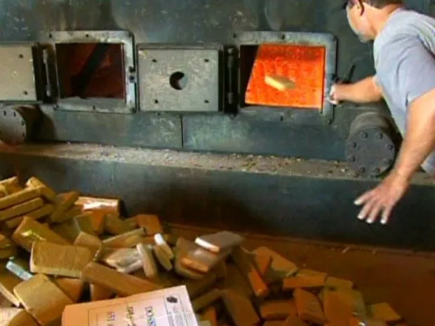 Polícia Federal incinera 738 kg de maconha 