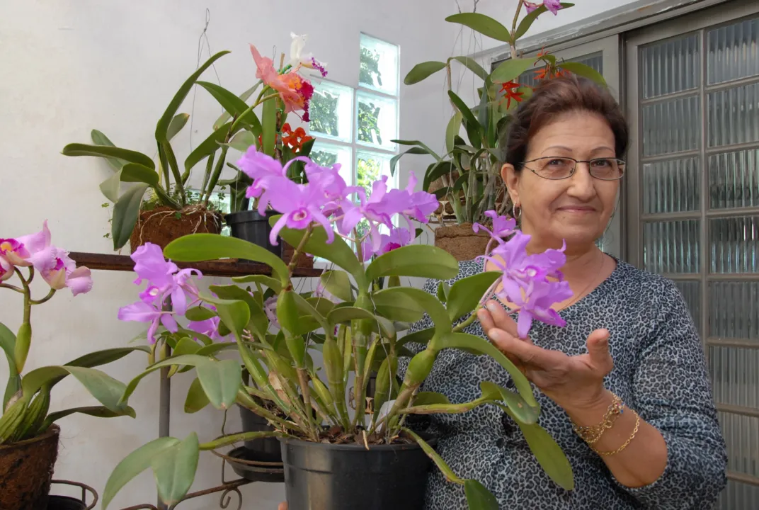 Professora Célia Maria França: cultivo de orquídeas como terapia