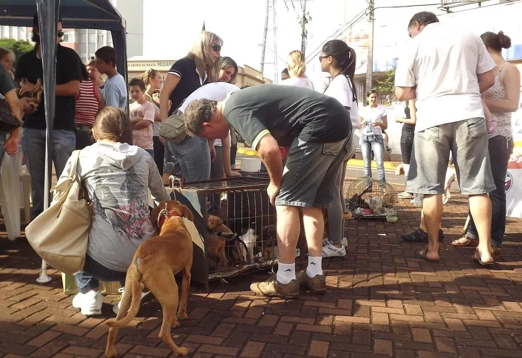 Feira de adoção atrai população ao centro de Apucarana