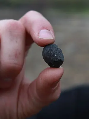  Caçador de meteoros encontra rochas da época da formação do Sistema Solar