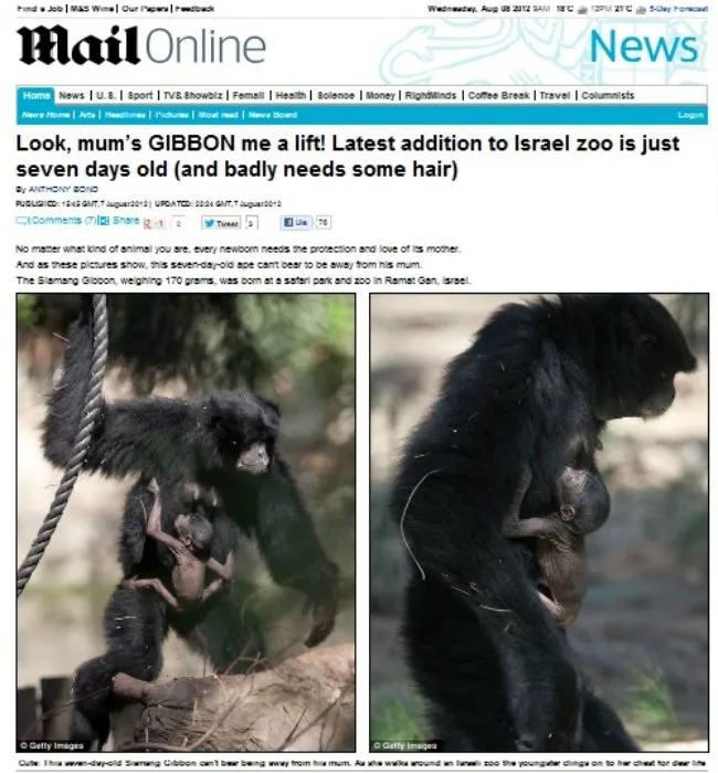 Macaco choca visitantes de zoo por ser parecido demais com uma criança