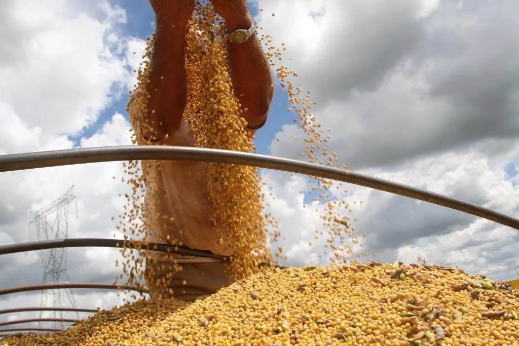 Valor Bruto da Produção agropecuária aponta renda recorde de R$ 52 bilhões