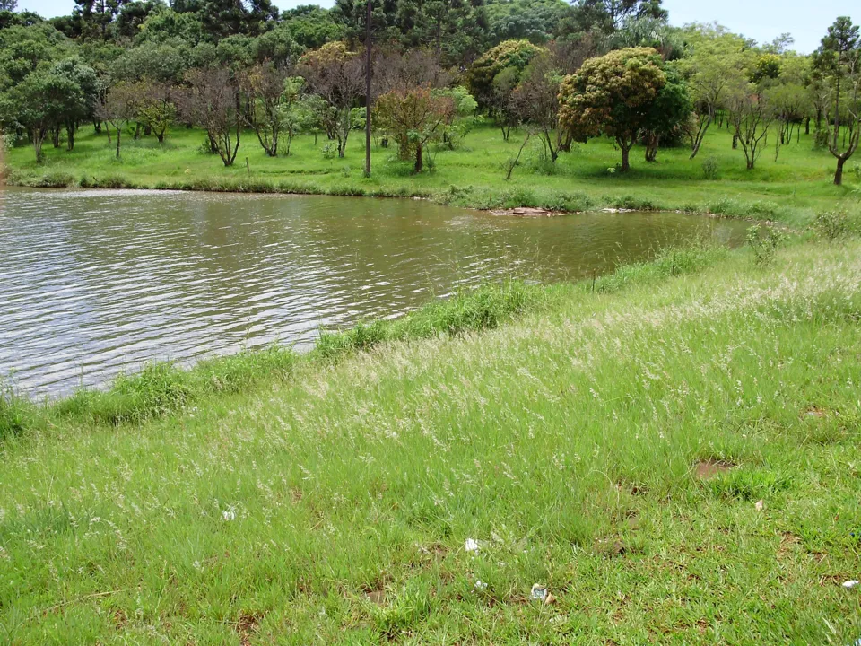 Margem do Lago Jaboti em Apucarana: beleza e tranquilidade
