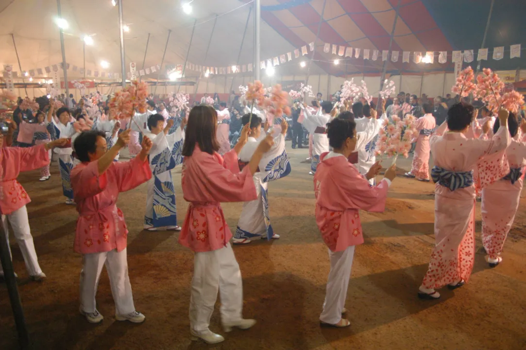 Festa da Cerejeira, na Acea,em Apucarana: evento tradicional da Colônia Japonesa - Foto: TNONLINE