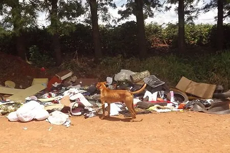 Despejo indiscriminado de lixo em propriedades rurais voltou a ser motivo de reclamação na região de Apucarana e Arapongas nesta terça-feira (3) (Fotos: Luiz Demétrio)