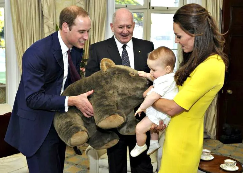 Casal real: Príncipe William e a duquesa Kate esperam segundo filho 