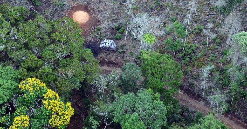 Desmatamento sobe 29% em 2014 na Amazônia