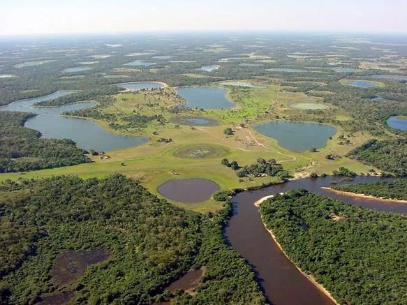  Pantanal perdeu 12,4 mil quilômetros quadrados de vegetação em seis anos