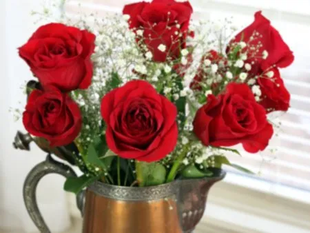  As rosas são boas opção de presente para o Dia dos Namorados