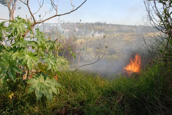 Incêndio atinge mata no Parque da Raposa: queimadas têm exigido trabalho redobrado dos bombeiros
