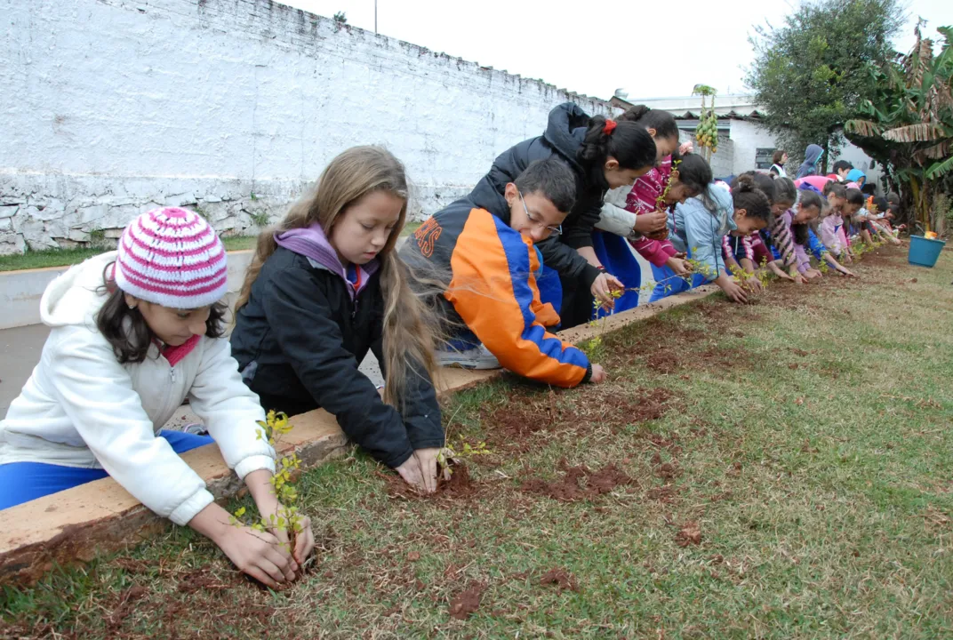  Crianças desenvolvem atividades alusivas à Semana do Meio Ambiente
