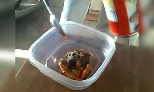 Mulher encontra rato em macarrão enlatado