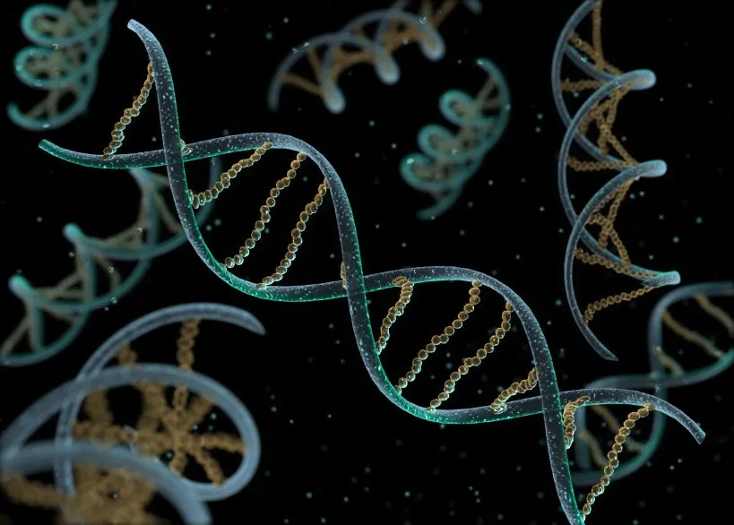  O Projeto genoma crou um código do DNA humano